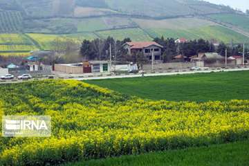 Slätter i Mazandaran