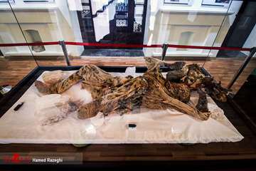 Saltmännen - Kvarlevor från flera tusen år tillbaka