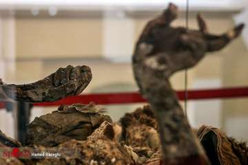 Saltmännen - Kvarlevor från flera tusen år tillbaka