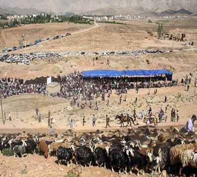 Sangsari-stammens migration: Tjänster, seder och historia om den längsta mänskliga migrationsvägen