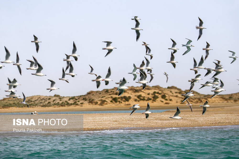 Maru ö - Irans Maldiverna