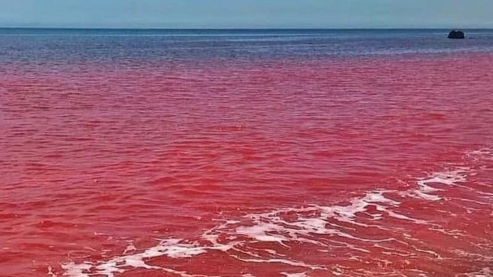 Röda stranden på ön Hormoz