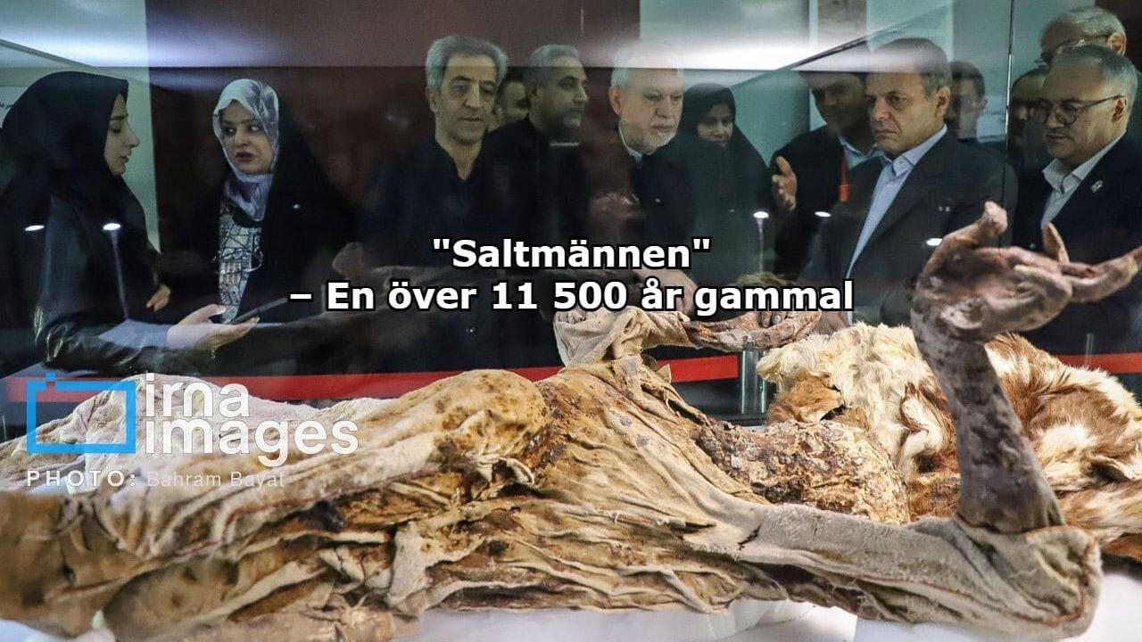 Saltmännen - Kvarlevor från flera tusen år tillbaka