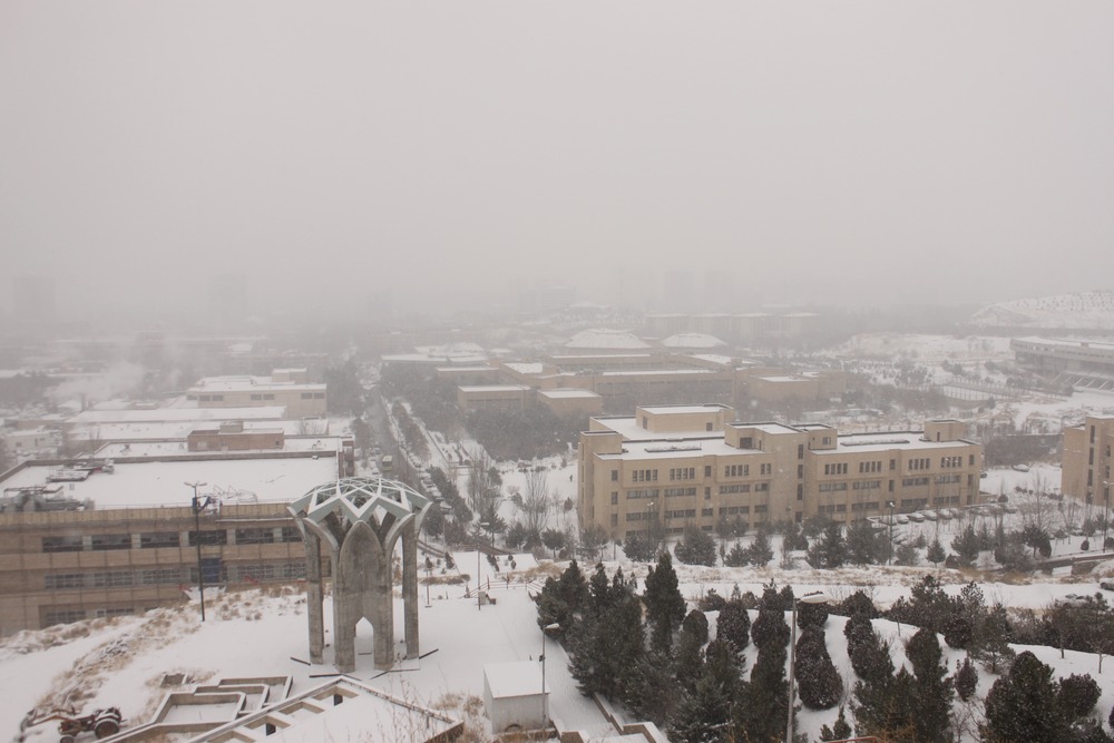 University of Tabriz