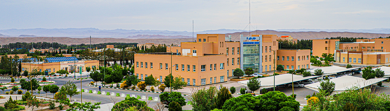 University of Birjand, östra Irans vetenskapliga utbildningsnav
