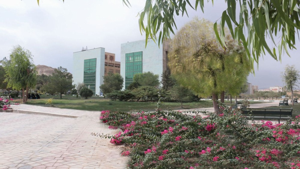 Mofid University
