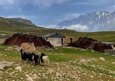 Sangsari-stammens nomader